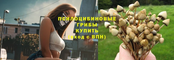 гидра Валуйки