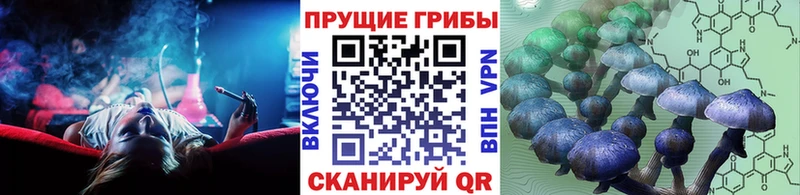 Псилоцибиновые грибы Psilocybine cubensis  где купить наркотик  Кушва 