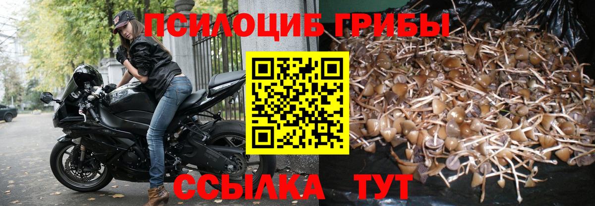 Галлюциногенные грибы прущие грибы  Кушва  Галлюциногенные грибы ЛСД 